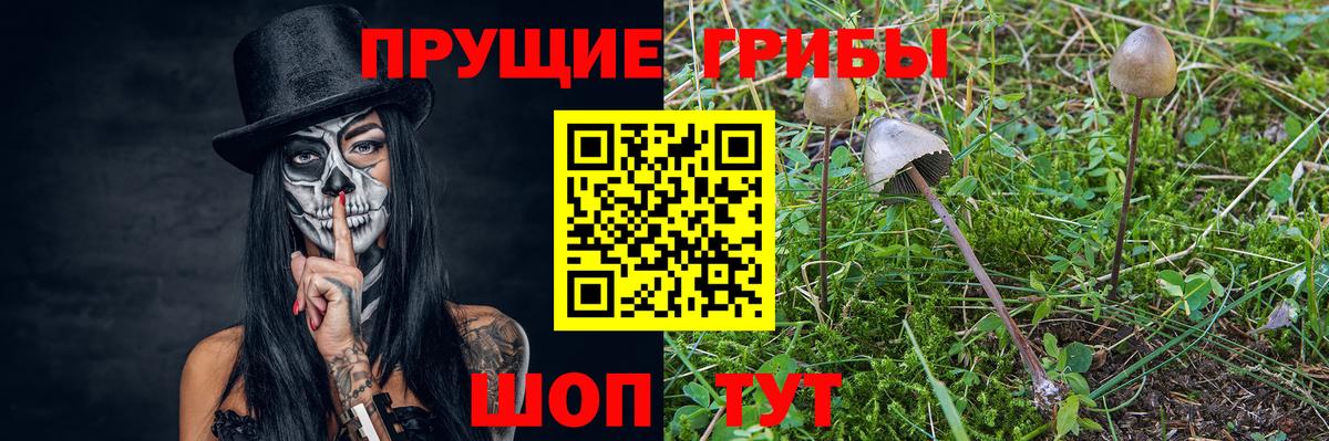 Псилоцибиновые грибы Magic Shrooms  Галлюциногенные грибы GOLDEN TEACHER  закладки  Вход с VPN  Нягань 